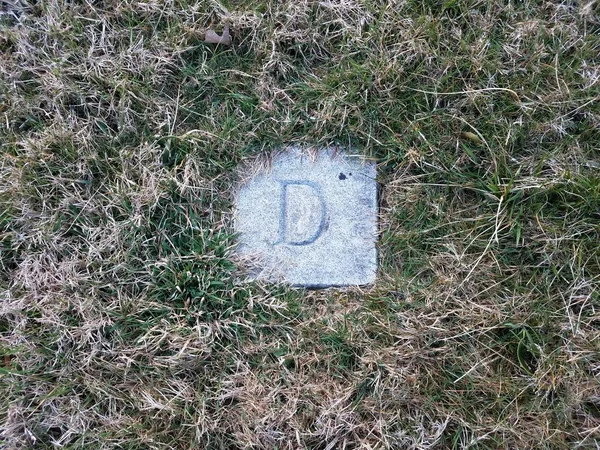 Rock nebo kámen s písmenem D vyryto na něj v trávě — Stock fotografie