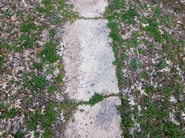 Çimento yolu ya da kaldırım yeşil çim ve kahverengi yaprakları ile