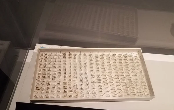 Uma caixa de insetos mosquitos coletados com etiquetas — Fotografia de Stock
