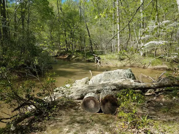 숲속의 바위와 나무로 흐르는 강이나 하천 — 스톡 사진