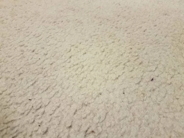Alfombra o alfombra blanca o gris sucia con pelos — Foto de Stock