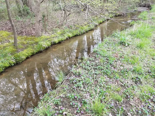 Pequeno riacho ou riacho ou rio e lama e grama — Fotografia de Stock