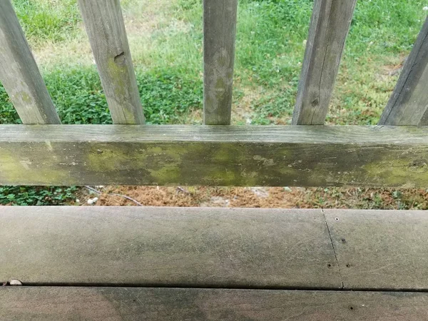 Pont en bois altéré ou usé avec algues vertes — Photo