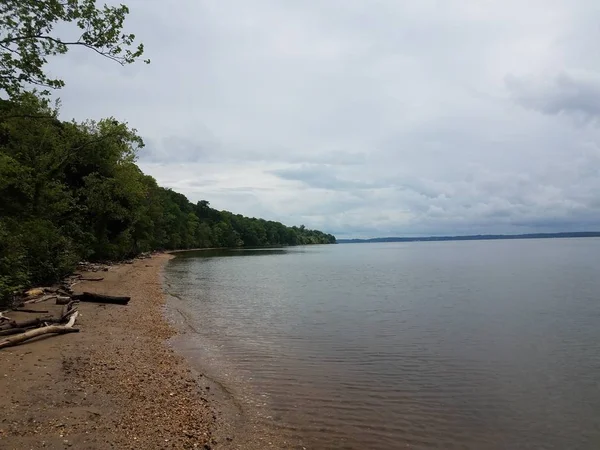 Rive de la rivière avec des roches, du sable, du bois et des coquillages — Photo