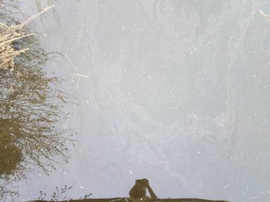 çimenler ve kişi yansıması ile kirli veya bulanık durgun su