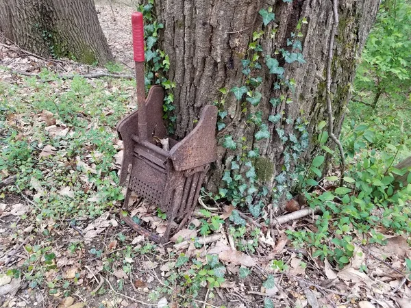 Rusty metal esfregão wringer com alça vermelha perto da árvore — Fotografia de Stock