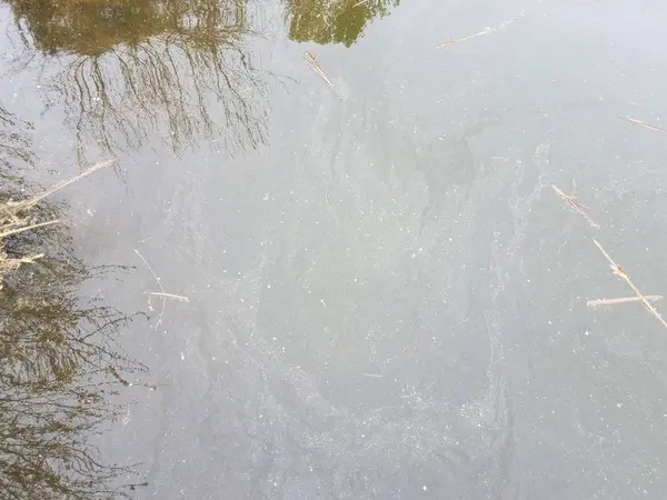 Çimenlerin yansıması ile kirli veya bulanık durgun su — Stok fotoğraf