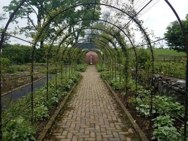 Camino de ladrillo rojo y rejilla de metal en el jardín — Foto de Stock