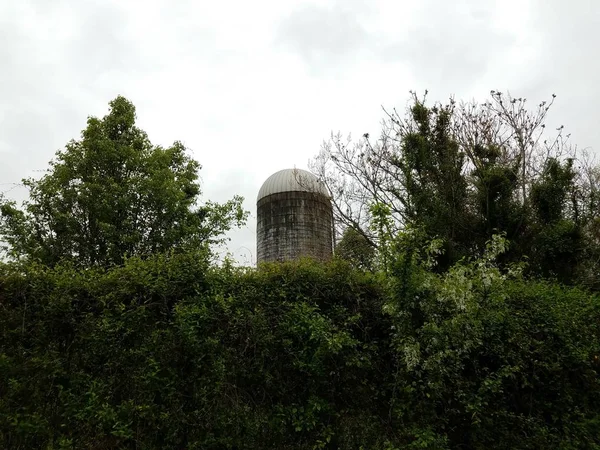 Velho silo usado na fazenda com árvores verdes e plantas — Fotografia de Stock