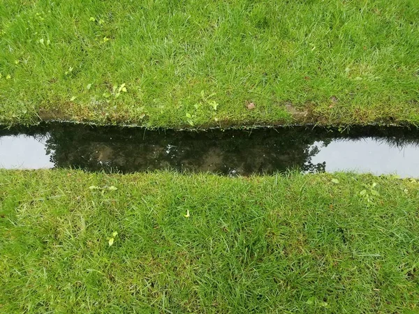 Kleiner Wasserlauf und grünes Gras — Stockfoto