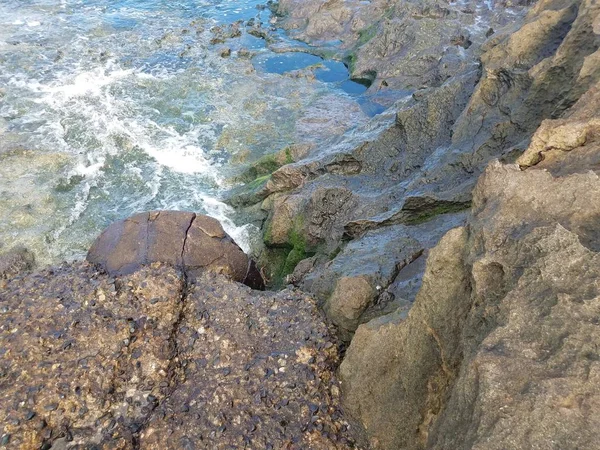 Krebse auf nassen Steinen oder Felsen mit Algen und Wasser in Puerto Rico — Stockfoto