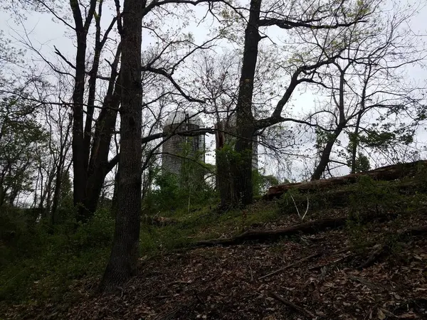 Oude verlaten boerderij silo's en bomen en takken — Stockfoto