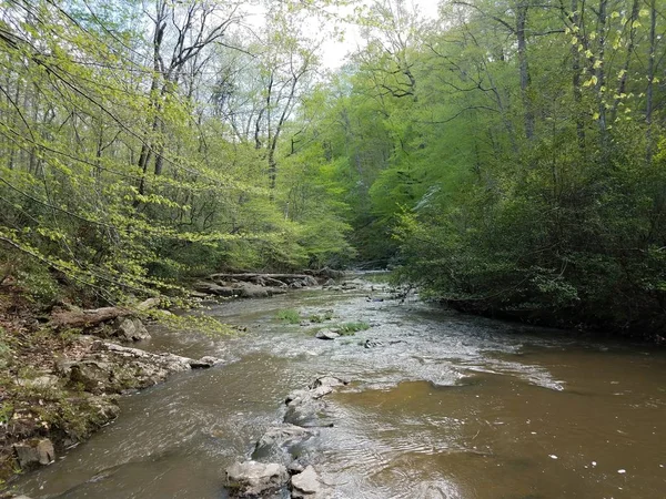 Rocas o cantos rodados con agua en el río en el bosque — Foto de Stock