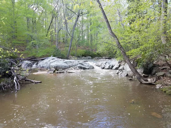Rochas ou pedregulhos com água no rio na floresta — Fotografia de Stock