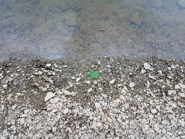 Gebroken grijze rotsen en water aan de oever van de rivier of het meer en groen blad — Stockfoto