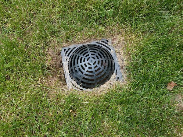 black plastic drain in green grass or lawn