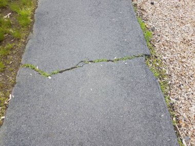 siyah asfalt iz veya çatlak ve çim ile yol