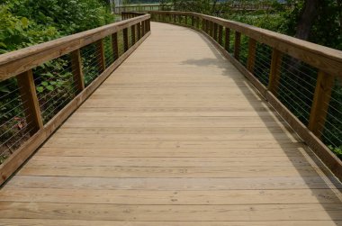 ahşap boardwalk veya korkuluk ve yeşil bitkiler ile iz