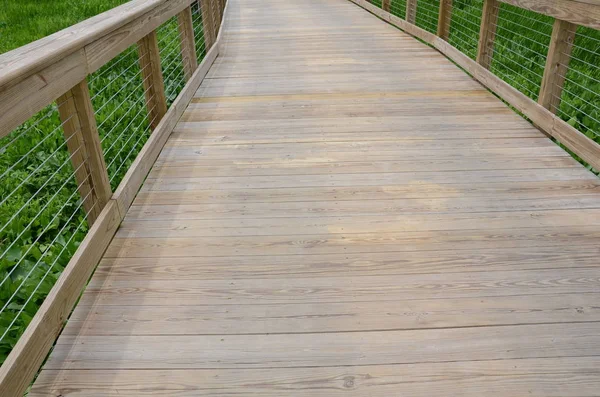 Passerella o sentiero in legno con ringhiera e piante verdi — Foto Stock