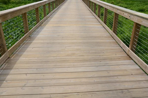Kayu boardwalk atau trail dengan pagar dan tanaman hijau — Stok Foto