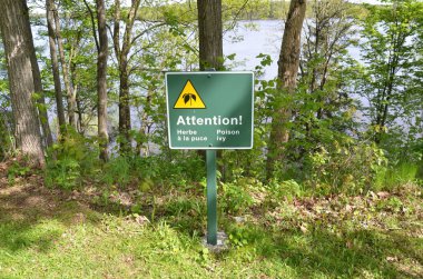 Fransızca ve ağaçlarda yeşil dikkat zehir sarmaşık işareti