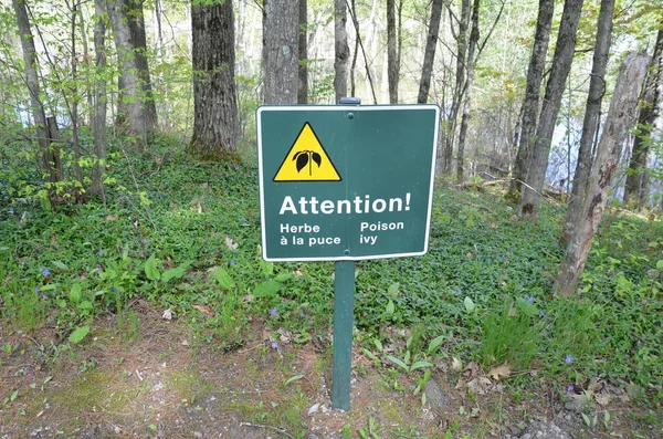 Verde atención hiedra venenosa signo en francés y árboles —  Fotos de Stock