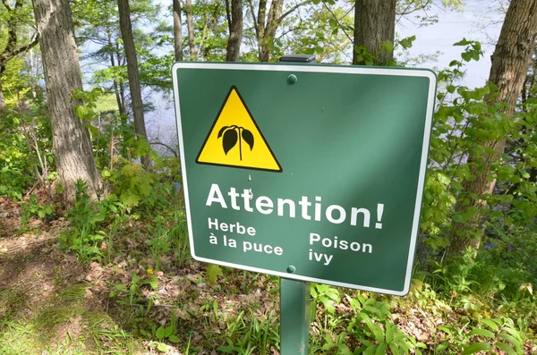 Green attention poison ivy sign in French and trees — Stock Photo, Image