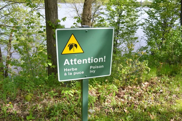 Verde atención hiedra venenosa signo en francés y árboles — Foto de Stock