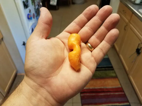 Segurar segurando estranho olhar cenoura na cozinha — Fotografia de Stock