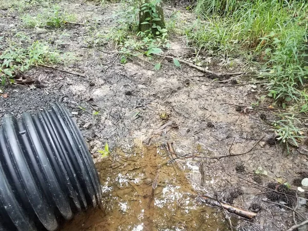 black pipe with water and mud and frog