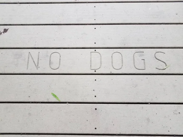 茶色の木製の遊歩道や地面に犬のサインはありません — ストック写真