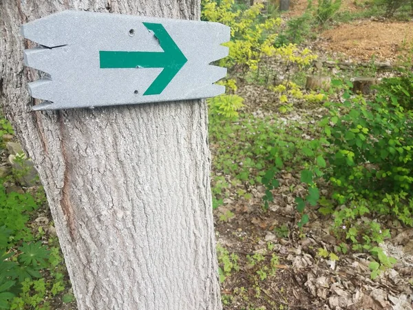 green arrow or pointer on sign on tree trunk