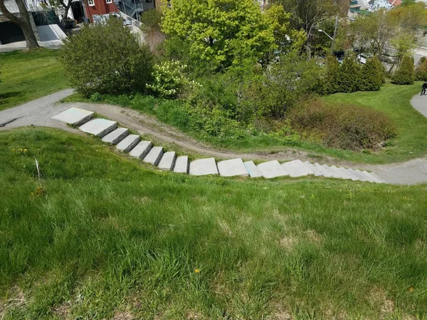 cement stairs or steps and green grass lawn