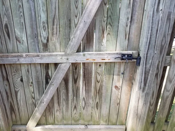 Timmerman bee gaten in houten hek deur — Stockfoto