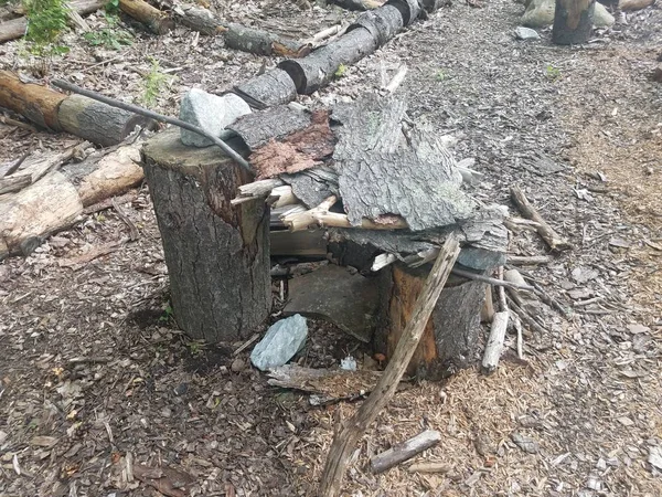 Pezzi di legno e corteccia su tronchi d'albero — Foto Stock