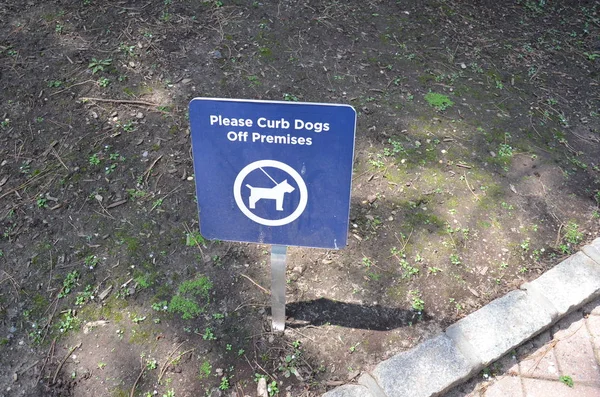 Kék legyen szíves megfékezése kutya távoli-ból helyiség jel-ban talaj — Stock Fotó