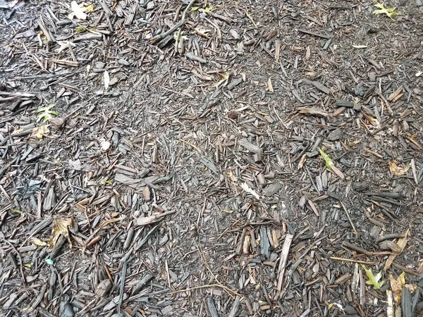 Wet brown mulch or wood chips on the ground — Fotografia de Stock