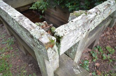 worn or weathered wood with moss and lichen