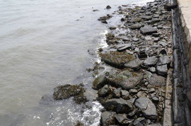 Nehir ya da göl suyu ve deniz yosunlarıyla dolu kayalar.