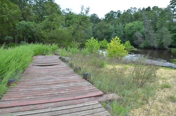 Plataforma de madeira vermelha ou convés por rio com árvores — Fotografia de Stock