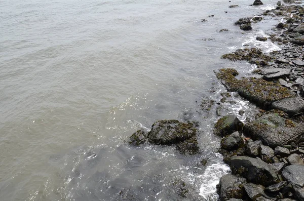Água do rio ou lago e rochas na costa com algas — Fotografia de Stock