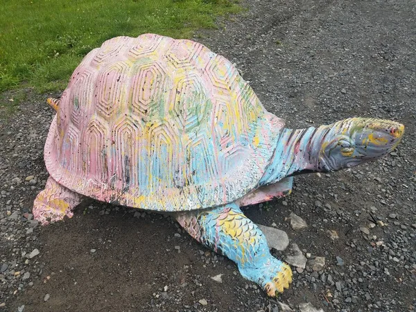 large turtle or tortoise shell painted on gravel path