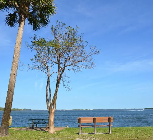 公園のベンチと草と木と川の水 — ストック写真