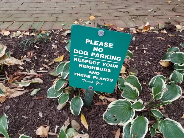Zelené Prosím Žádný Pes Parkování Respektovat Tyto Rostliny Znamení Rostliny — Stock fotografie