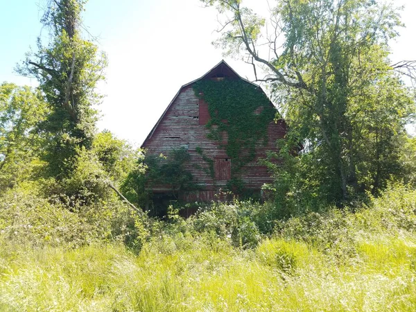 Alte rote Scheune mit Gras und Bäumen — Stockfoto