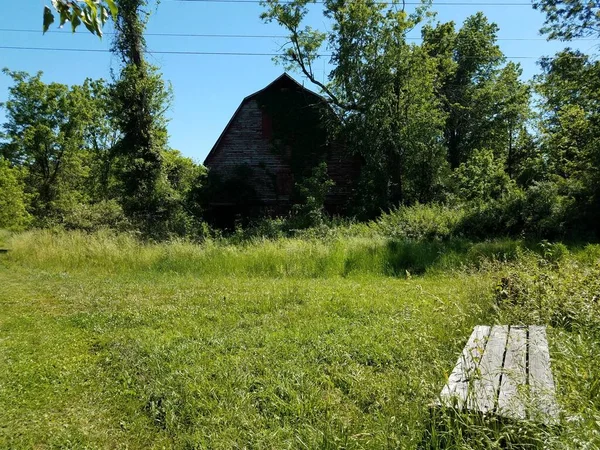 Stará červená stodola s trávou a stromy a dřevěnou lavicí — Stock fotografie