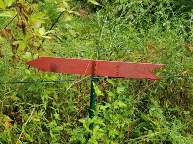 Sol ve yeşil bitkileri gösteren bir tahta ok işareti.