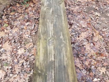 Tahta kaldırım veya patika veya patika ve kahverengi yapraklar