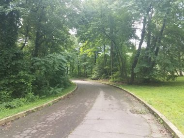 geniş asfalt yolu ya da yolu ağaçlar ve beton kaldırımlı