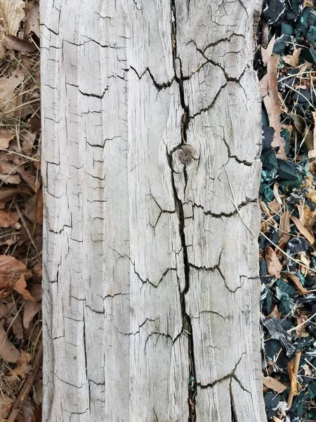 Pièce Altérée Bois Brun Avec Des Fissures — Photo